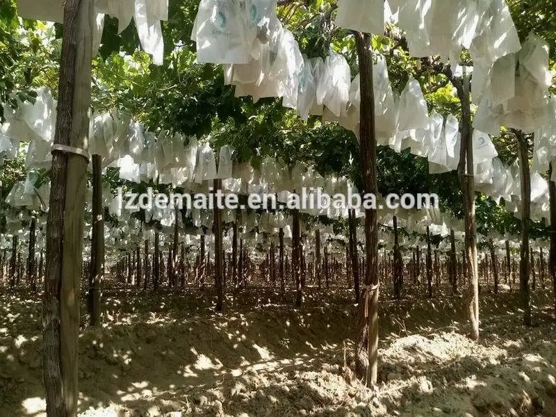 Fruit Cover Mango Fruit Protection Bags Paper